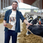 Scandi Farmhouse Rind, Brauch T-Shirt