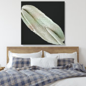 Scannen eines Elektronenmikroskopbildes eines ande Leinwanddruck (Insitu (Schlafzimmer))