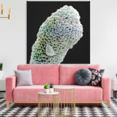 Scannen von Elektronenmikroskop-Bild von Stigma (P Leinwanddruck (Insitu (Wohnzimmer))