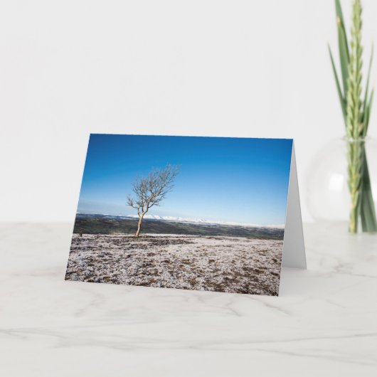 Scanner Holiday Card Feiertagskarte (Vorderseite)