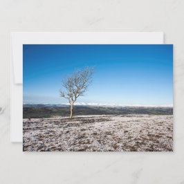 Scanner Holiday Card Feiertagskarte