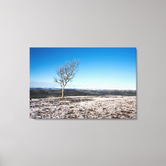 Scanner Holiday Card Leinwanddruck (Vorderseite)