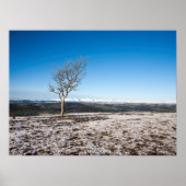 Scanner Holiday Card Poster (Vorne)