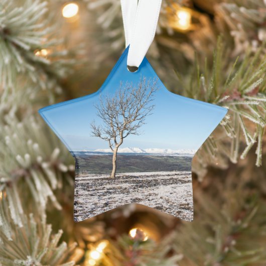 Scanner Holiday Card Poster Foto Blockschnee Gl Ornament (Baum)