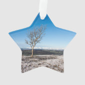 Scanner Holiday Card Poster Foto Blockschnee Gl Ornament (Rückseite)