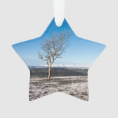 Scanner Holiday Card Poster Foto Blockschnee Gl Ornament (Vorderseite)