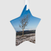 Scanner Holiday Card Poster Foto Blockschnee Gl Ornament (Vorderseite)