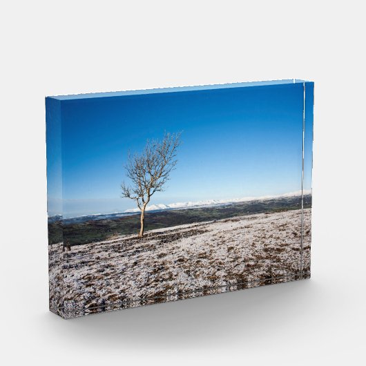 Scanner Holiday Card Poster Fotoblock (Links)