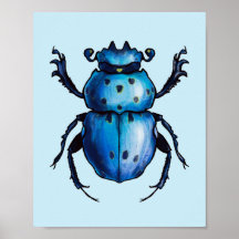 Scarab Käfer Art Blue Entomology Insekt