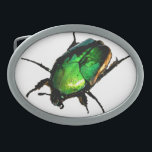 Scarab Käfer Ovale Gürtelschnalle<br><div class="desc">Der ägyptische Skarabäus-Käfer ist in diesem Sommer voll in Kraft. Die wilden Katzen haben den Workshop mit diesen wunderschönen Käfern im Abend "geschenkt". Wenn Sie dieses Bild auf einem der Produkte sehen möchten, die Zazzle erstellt, senden Sie uns bitte eine Nachricht. Benötigen Sie Hilfe bei der Anpassung dieses Produkts? Unser...</div>