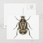 Scarab Käfer Postkarte (Vorne/Hinten)