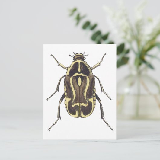 Scarab Käfer Postkarte (Stehend Vorderseite)
