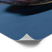 Scarab mit Heron, aus Grab von Tutankhamun Poster (Ecke)