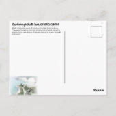 Scarborough Bluffs Park Postkarte (Rückseite)