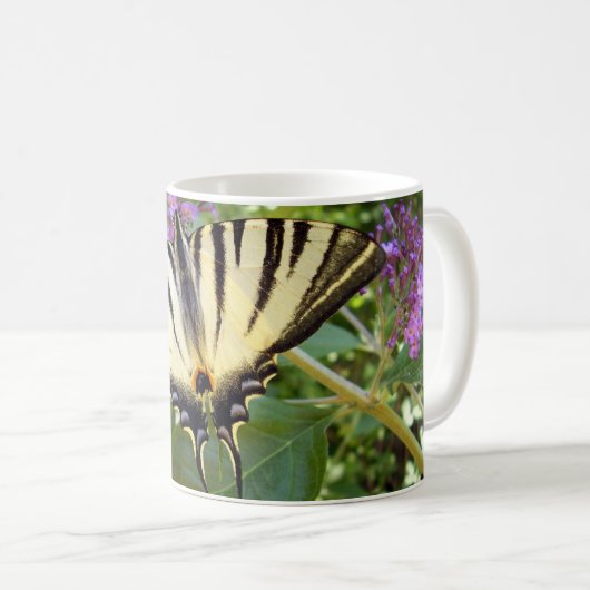 Scarce Frack Butterfly Bug Tasse (VorderseiteRechts)