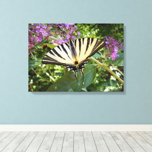 Scarce Frack Butterfly Canvas Print Leinwanddruck (Insitu (Holzboden))