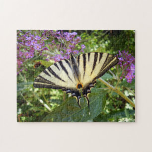 Scarce Frack Butterfly Foto Puzzle