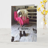 SCARDY HUND KARTE (Gelbe Blume)