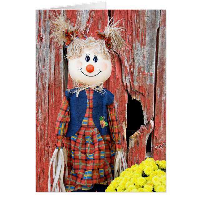 Scarecrow Girl (Vorne)