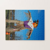Scarecrow Minnesota. Puzzle (Horizontal)