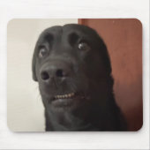 Scared Dog Meme Mouse Pad Mousepad (Vorne)