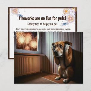 Scared Dog Watching Fireworks Postkarte