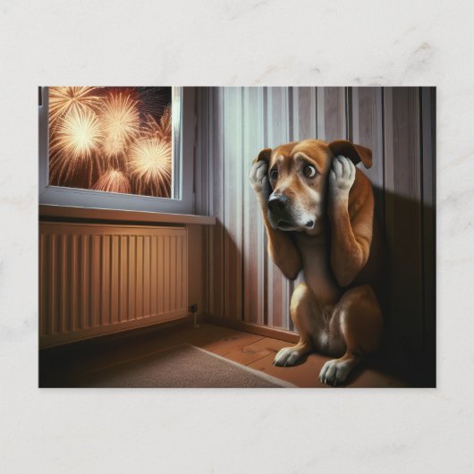 Scared Dog Watching Fireworks Postkarte (Vorderseite)