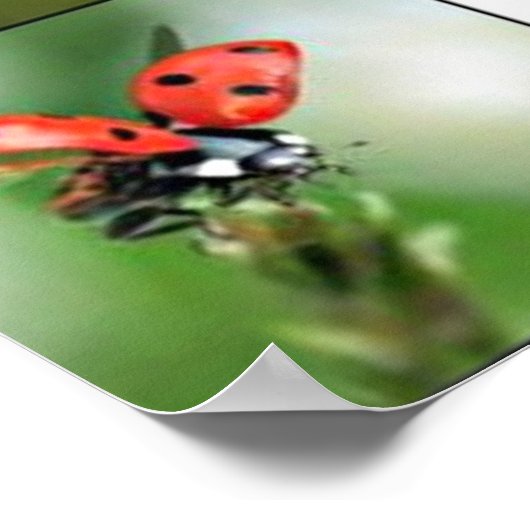 'Scared' Poster (Ecke)