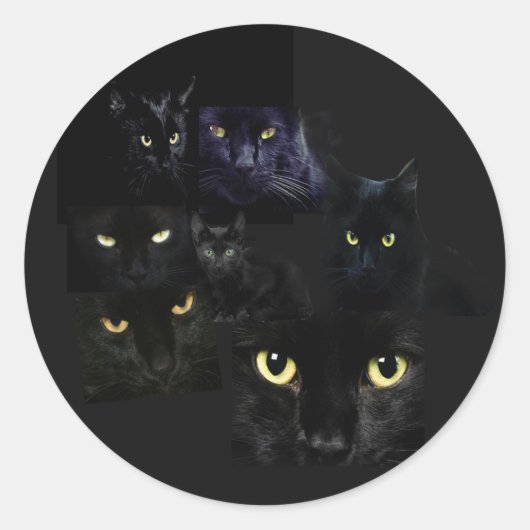 Scaredy Cats Sticker (Vorderseite)