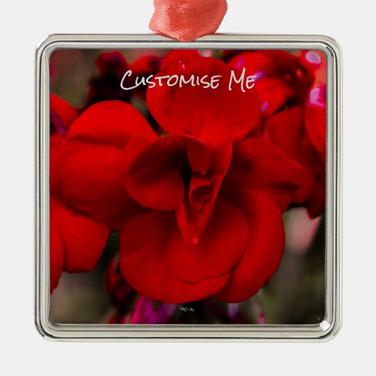Scarlet Begonias Ornament Aus Metall (Vorne)