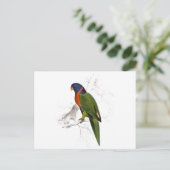 Scarlet-Collared Parrakeet von Edward Lear Postkarte (Stehend Vorderseite)
