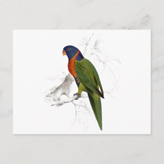 Scarlet-Collared Parrakeet von Edward Lear Postkarte (Vorderseite)