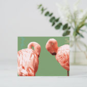 Scarlet Flamingo Postkarte (Stehend Vorderseite)