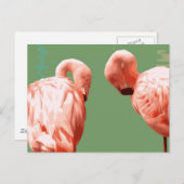 Scarlet Flamingo Postkarte (Vorne/Hinten)