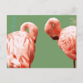 Scarlet Flamingo Postkarte (Vorderseite)