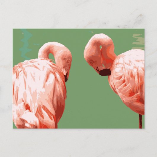 Scarlet Flamingo Postkarte (Vorderseite)
