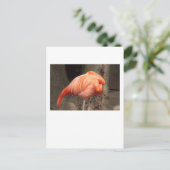 Scarlet Flamingo Postkarte (Stehend Vorderseite)