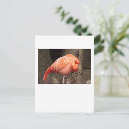 Scarlet Flamingo Postkarte (Stehend Vorderseite)