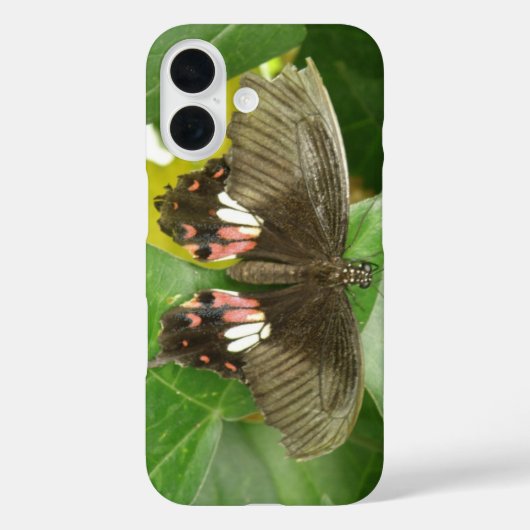Scarlet Frack Butterfly iPhone Case (Rückseite)