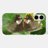 Scarlet Frack Butterfly iPhone Case (Rückseite (Horizontal))
