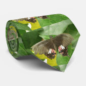 Scarlet Frack Butterfly Krawatte (Gerollt)