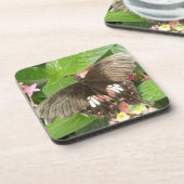 Scarlet Frack Butterfly Macro Cork Untersetzer (Linke Seite)
