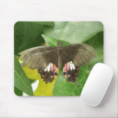 Scarlet Frack Butterfly Mousepad (Mit Mouse)