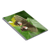 Scarlet Frack Butterfly Notebook Notizblock (Rechte Seite)