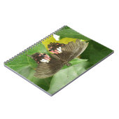 Scarlet Frack Butterfly Notebook Notizblock (Linke Seite)
