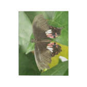 Scarlet Frack Butterfly Notepad Notizblock (Rotiert)