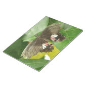 Scarlet Frack Butterfly Notepad Notizblock (angewinkelt)