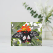 Scarlet Frack Butterfly Postkarte (Stehend Vorderseite)