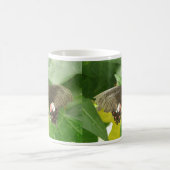 Scarlet Frack Butterfly Tasse (Mittel)
