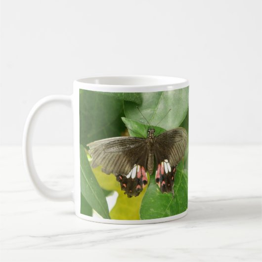 Scarlet Frack Butterfly Tasse (Links)